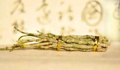 探寻仙草 石斛的奥秘与价值