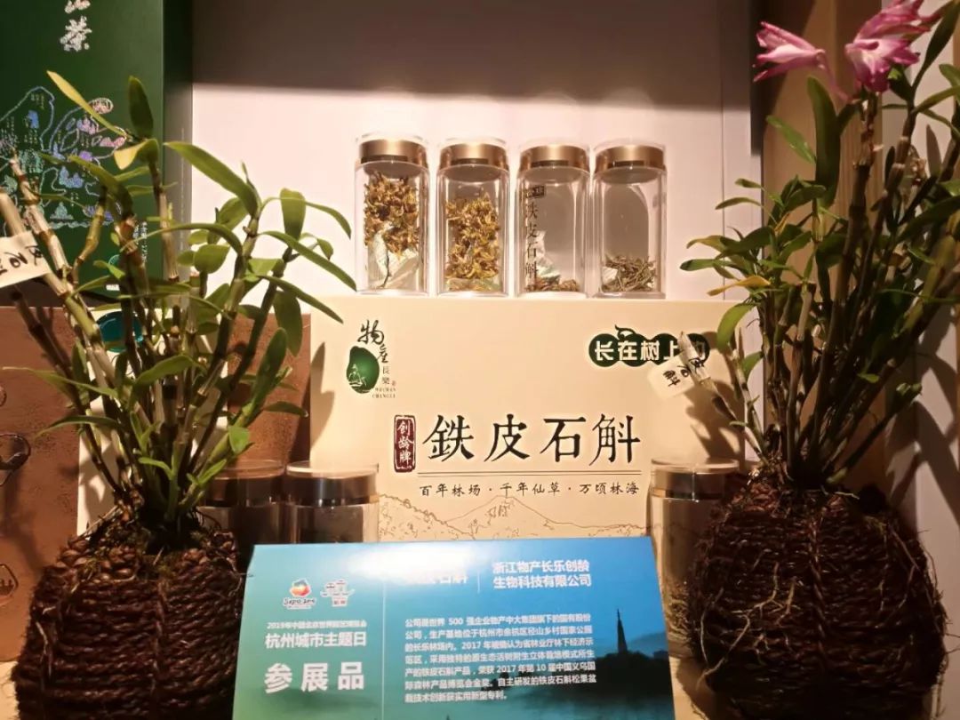 长乐创龄铁皮石斛系列产品荣登北京世博会 开启石斛产业国际化新篇章
